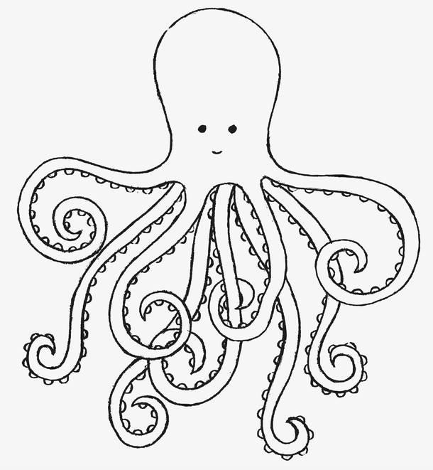 鱿鱼简笔画 铁板鱿鱼简笔画