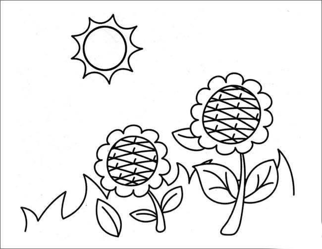 植物简笔画 植物简笔画大全花草树木