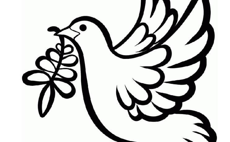 信鸽简笔画 和平信鸽简笔画