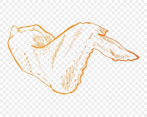 鸡翅简笔画 鸡翅简笔画图片大全彩色