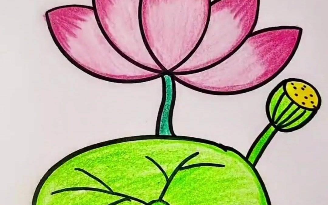 荷花简笔画 荷花简笔画怎么画