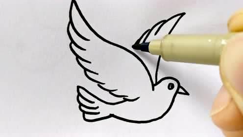 白鸽简笔画 白鸽简笔画飞翔