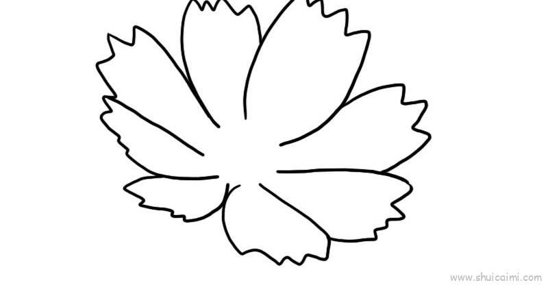 秋英花儿童画怎么画 秋英花简笔画简单