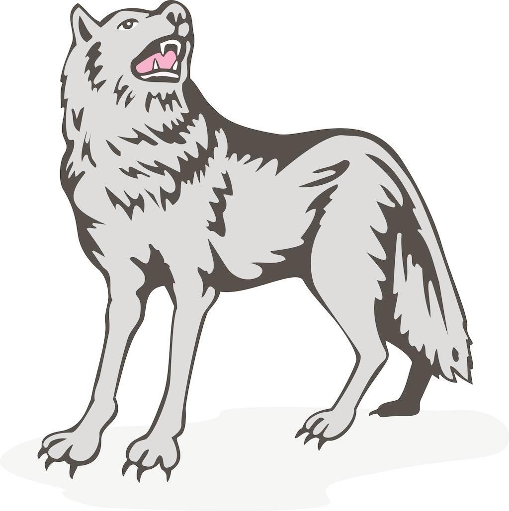 霸气狼简笔画图片大全 霸气狼简笔画图片大全彩色