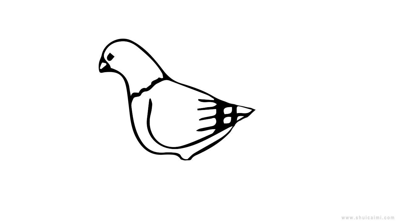 小白鸽简笔画怎么画 小白鸽简笔画好看