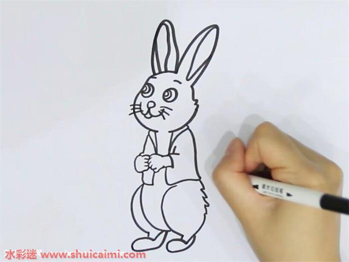 彼得兔怎么画 彼得兔简笔画步骤