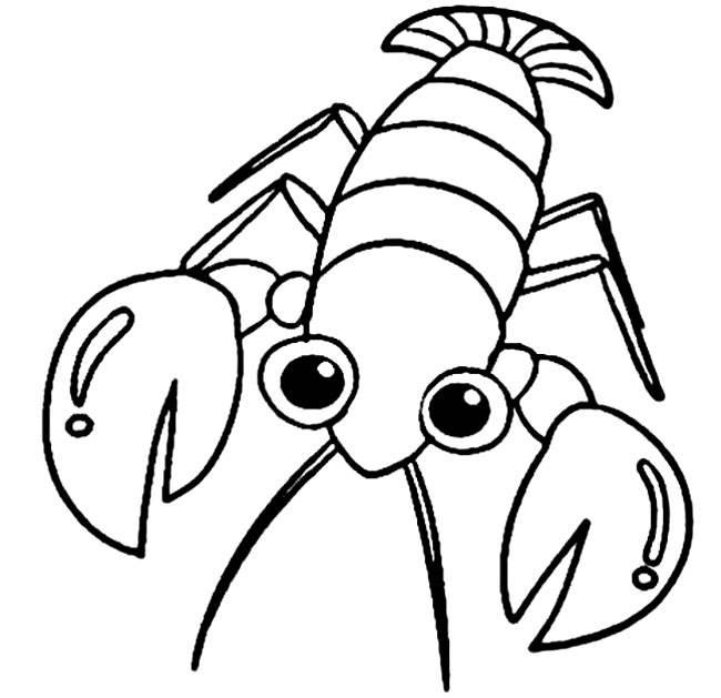 龙虾简笔画 龙虾简笔画彩色
