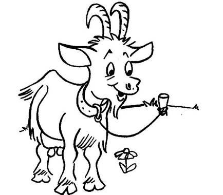 山羊的简笔画图片大全 山羊的简笔画简单又好看