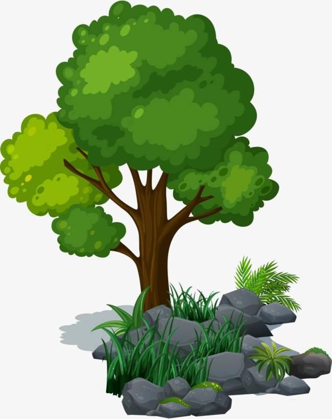 画树的简笔画 简单画树的简笔画