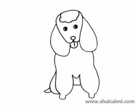 贵宾犬儿童简笔画