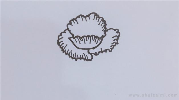 禁毒罂粟花简笔画怎么画 禁毒罂粟花简笔画顺序