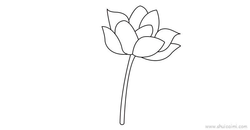 荷花儿童画怎么画 荷花简笔画好看