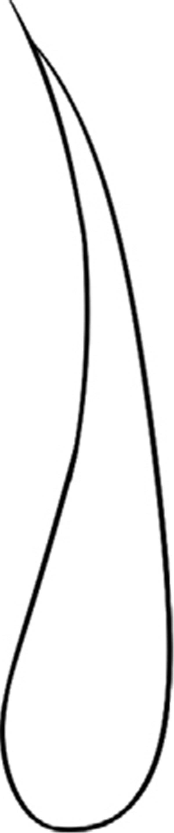 刺鼻的葱简笔画怎么画 刺鼻的葱简笔画画法