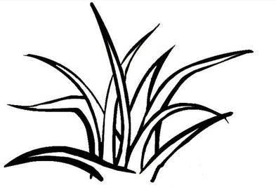 简笔画小草 简笔画小草图片大全