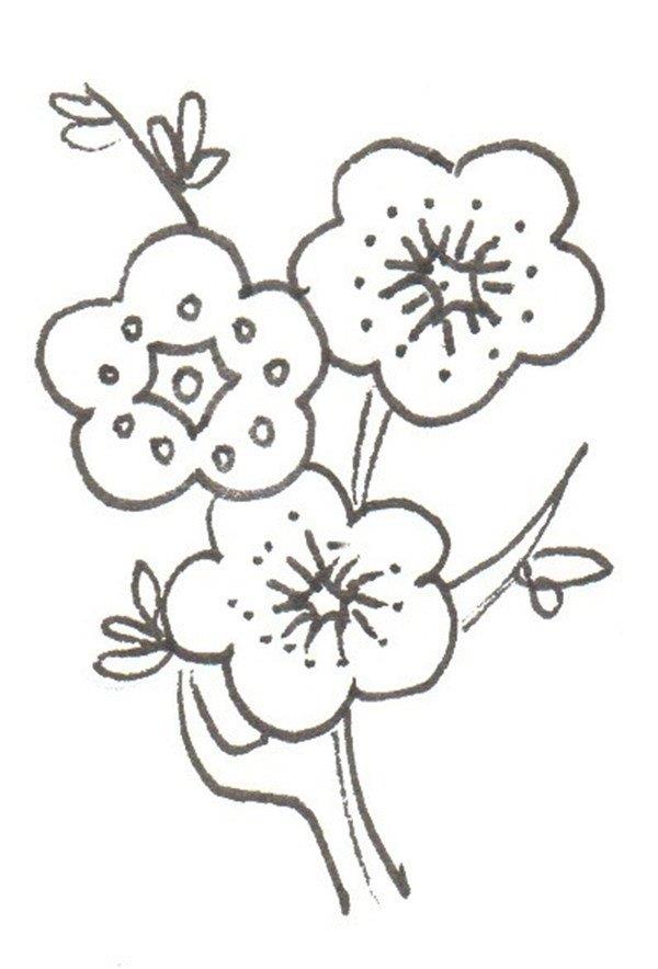梅花的简笔画怎么画 梅花的简笔画步骤