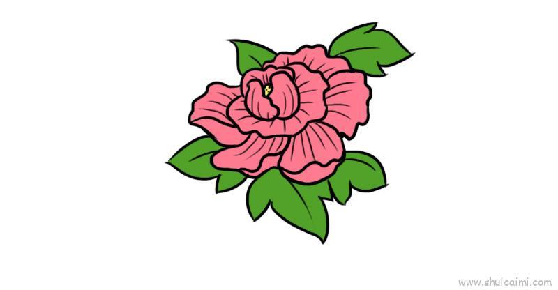 芙蓉花儿童画怎么画 芙蓉花简笔画简单又好看