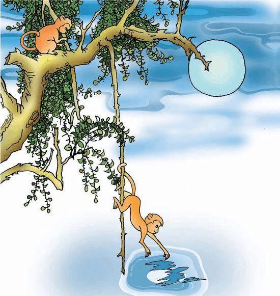 猴子捞月简笔画 猴子捞月简笔画连环画