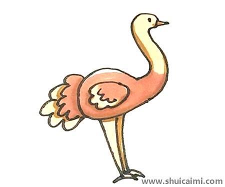鸵鸟彩色儿童简笔画