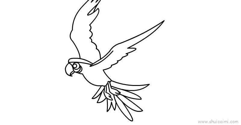 鹦鹉儿童画怎么画 鹦鹉简笔画步骤