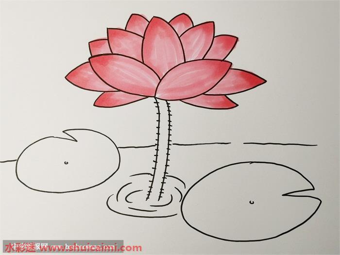 荷花怎么画 荷花简笔画漂亮卡通