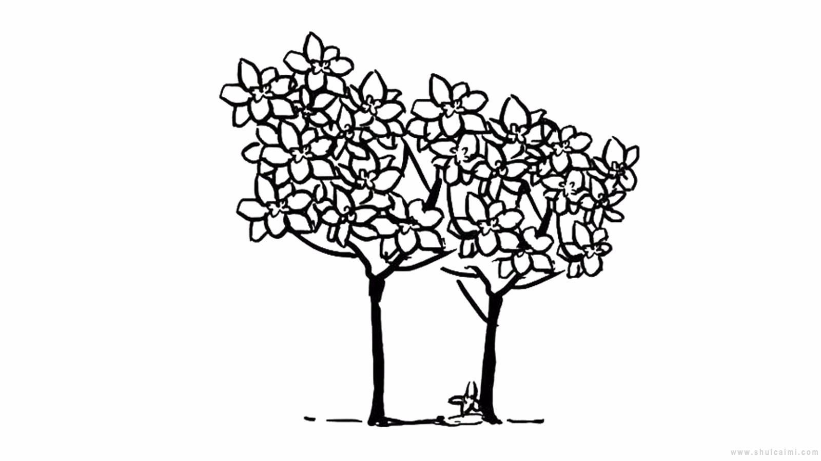 月桂树简笔画怎么画 月桂树简笔画画法