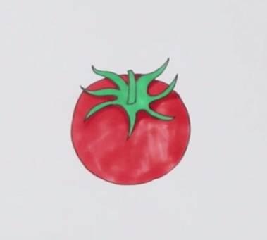 西红柿简笔画 西红柿简笔画简单