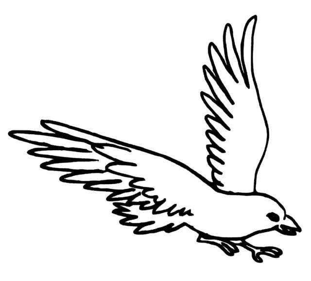 幼儿园画小鸟简笔画图片大全 小鸟的简笔画图片大全可爱 简单