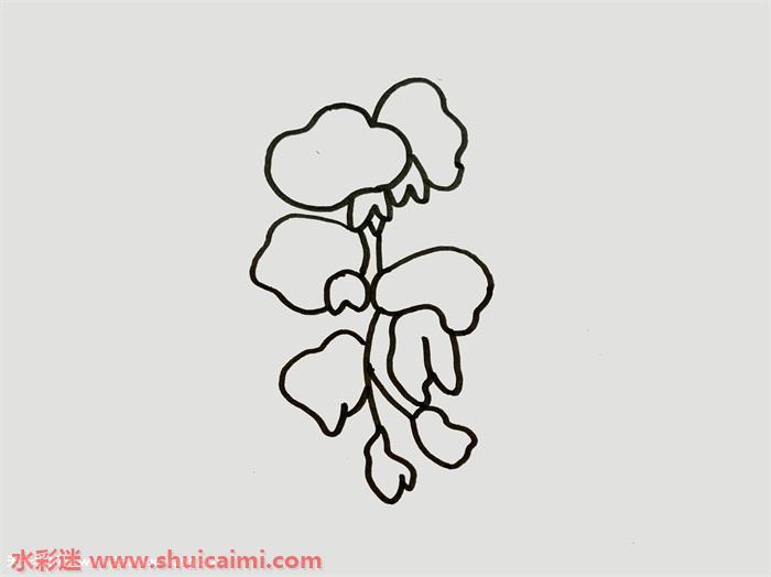 紫藤花怎么画 紫藤花简笔画画法