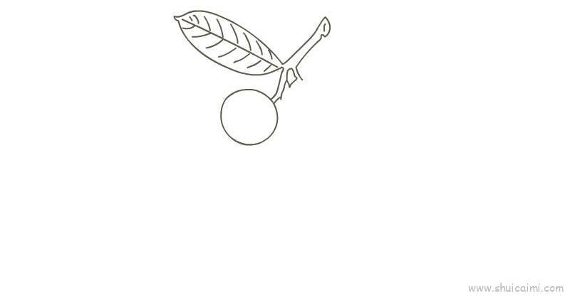 桂圆儿童画怎么画 桂圆简笔画简单