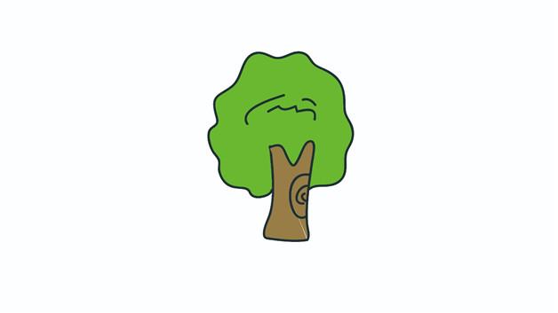 树木简笔画怎么画 树木简笔画图片