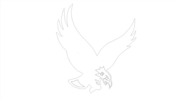 鹰简笔画怎么画 鹰简笔画画法