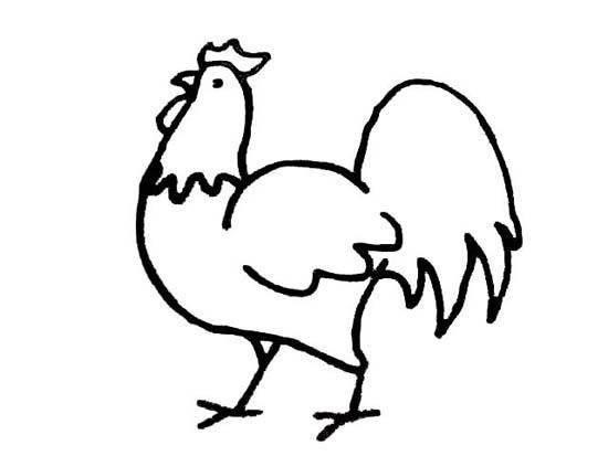 公鸡的简笔画图片大全 公鸡的简笔画图片大全可爱简单又漂亮