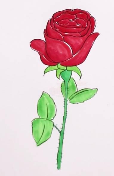 玫瑰花怎么画 玫瑰花怎么画最好看