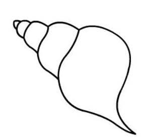 海螺简笔画 海螺简笔画彩色