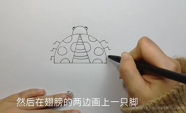 甲壳虫简笔画怎么画 甲壳虫简笔画图片大全