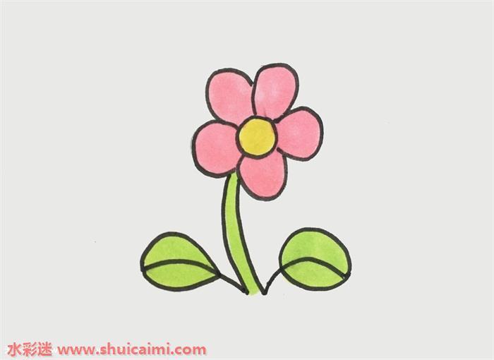 美丽小花怎么画 小花简笔画简单又漂亮彩色