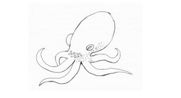 章鱼的简笔画 章鱼的简笔画可爱