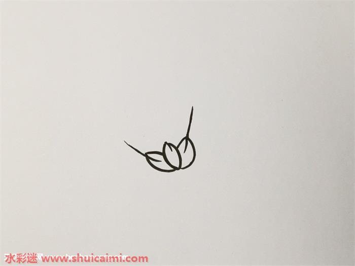 秋天成熟麦穗怎么画 成熟的麦穗简笔画步骤教程