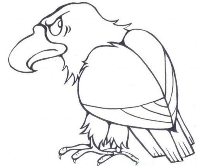 简笔画老鹰 小动物 简单 漂亮|儿童简笔画老鹰图片