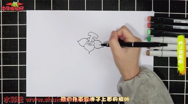 彩色柿子简笔画怎么画？跟着图片教程学习吧