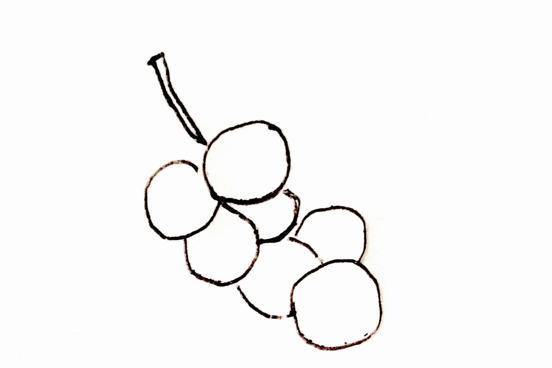 葡萄简笔画图片大全 葡萄简笔画图片大全带颜色