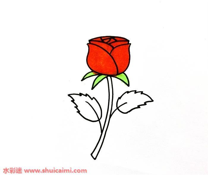 玫瑰花怎么画 儿童画玫瑰花简笔画步骤