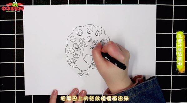 孔雀开屏怎么画 孔雀开屏简笔画简单又漂亮彩色