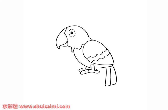 鹦鹉怎么画 鹦鹉简笔画简单好看彩色