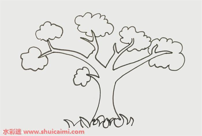 树冠怎么画 树冠简笔画步骤图