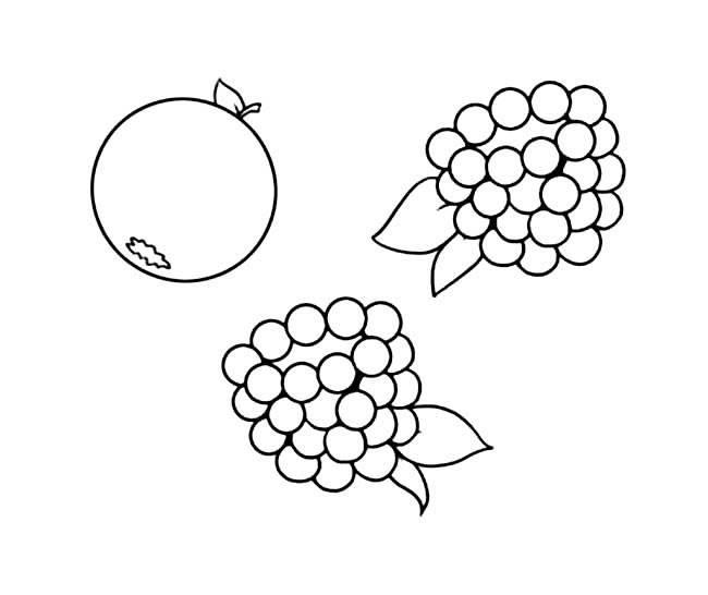蓝莓简笔画 蓝莓简笔画图片