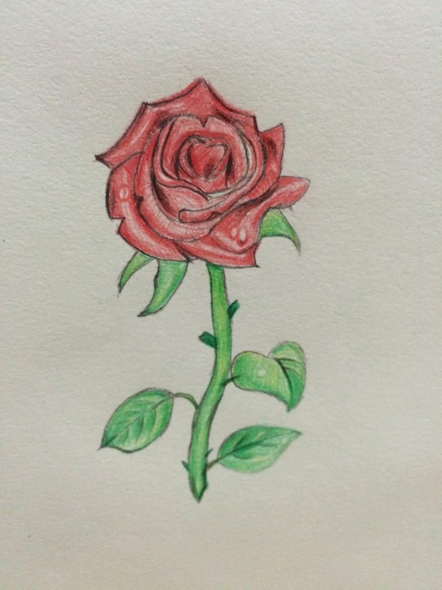 玫瑰花怎么画 玫瑰花怎么画最好看