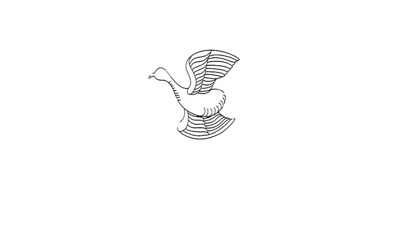 凤凰简笔画怎么画 凤凰简笔画顺序