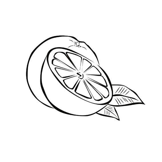 橙子简笔画 橙子简笔画带颜色