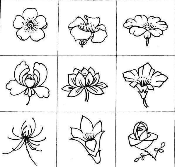 花简笔画 花简笔画彩色